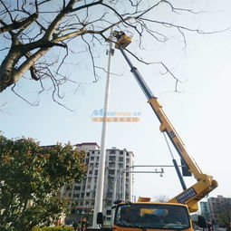 江北路灯车租赁 质量好的路灯车在哪买