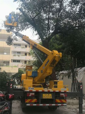 昆明路灯车出租 园林修剪作业车租赁 升降车租赁